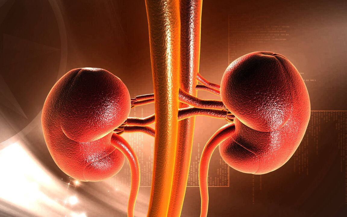 The increase in blood sugar can cause renal failure